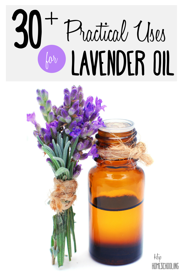 30 + Practical Uses for Lavender Essential Oil | Essential oil uses | essential oil recipes | lavender oil | natural health |alternative health 