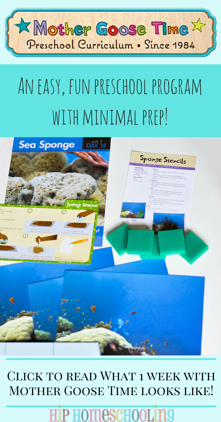Our Preschool Curriculum: From Seahorses to Sea Sponges