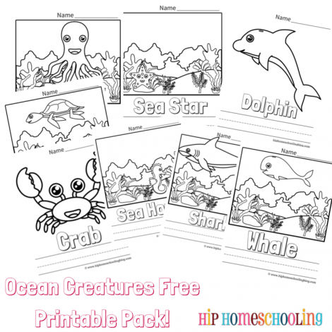 Ocean Coloring Pages Free Printable and Link Up