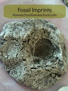 Make Your Own Fossil Imprints Favourite things Friday Featured Post