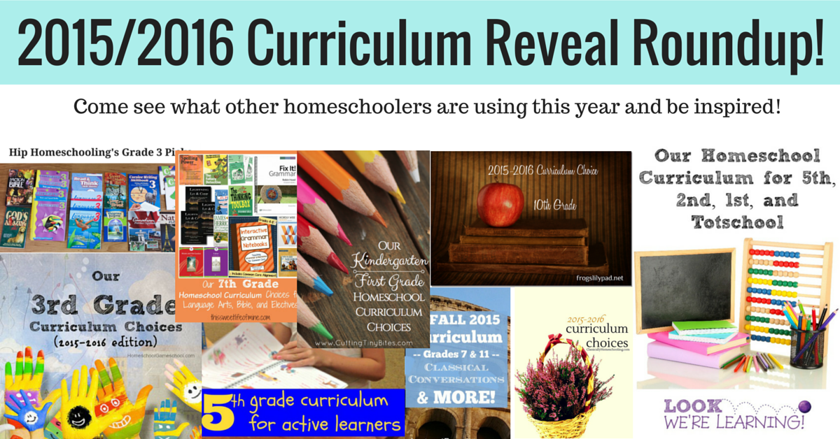 Great Curriculum reveal roundup