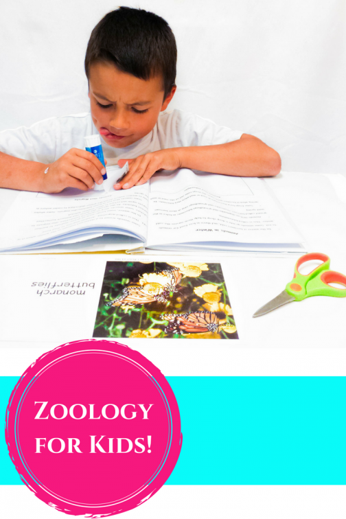 Zoology for Kids Homeschool Science Curriculum