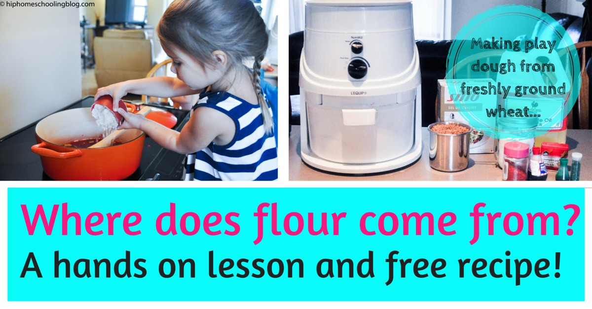 Making play dough from freshly ground wheat. Where does flour come from? A hands on lesson and free recipe!