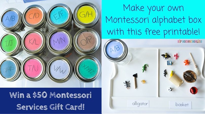 Make your own, cheap, Montessori alphabet box with this free printable! (1)