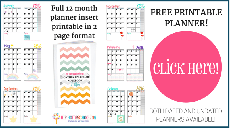 Free printable planner monthly insert!