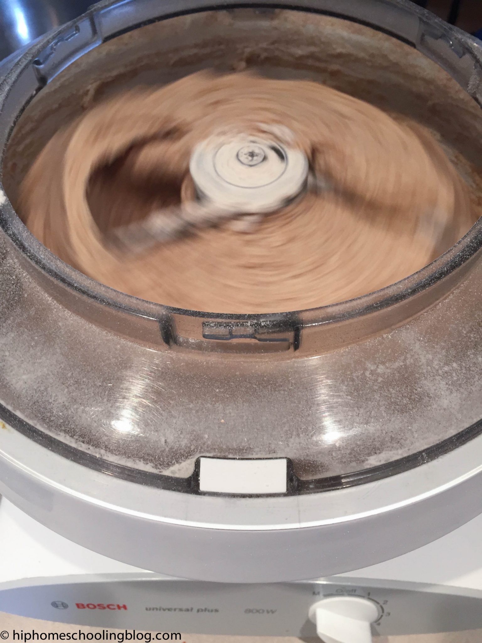 whole wheat bread recipe Kneading the Dough