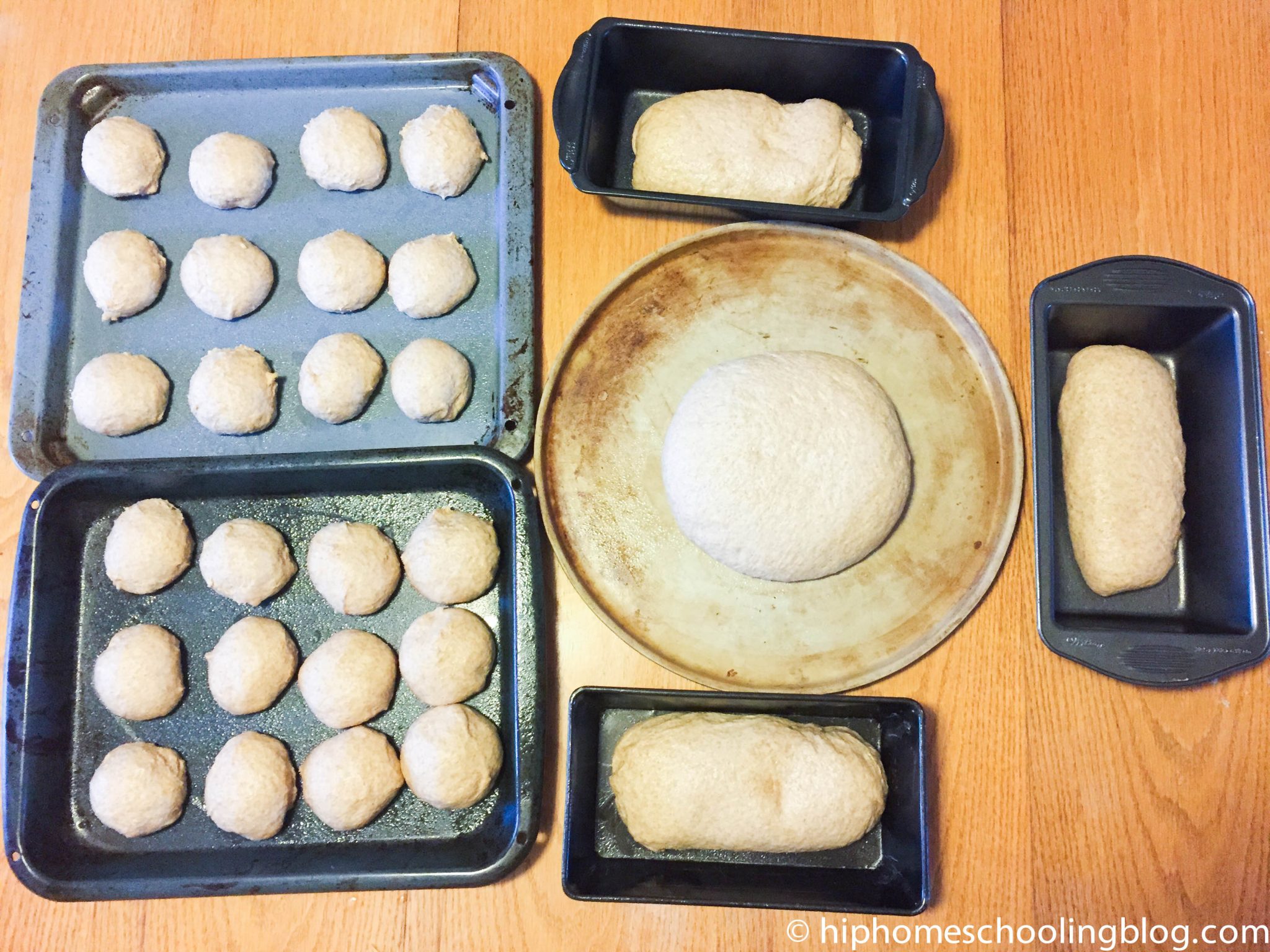 Shaped Dough Rising