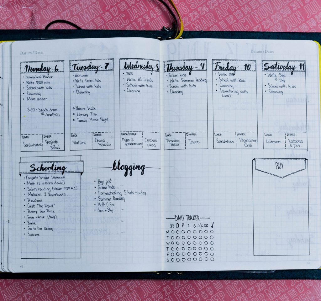 Daily, Weekly, and Monthly Bullet Journal Layout Examples