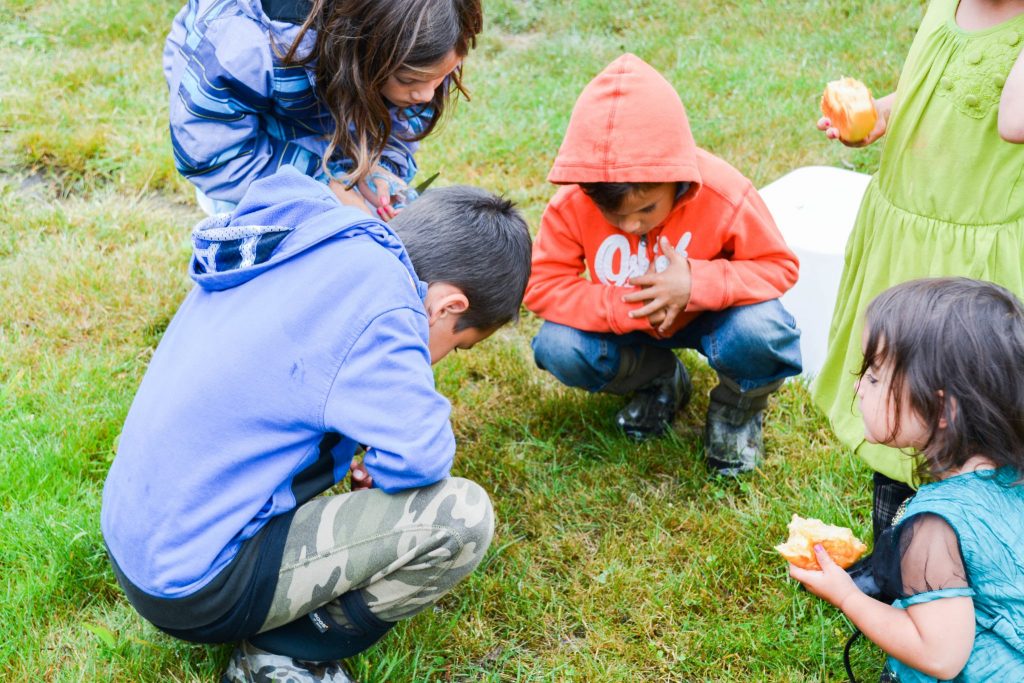 nature study: studying the grass