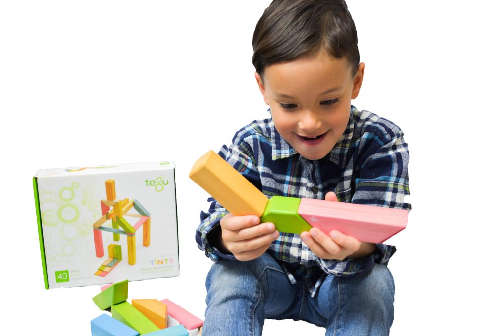 Hands on Learning with Tegu