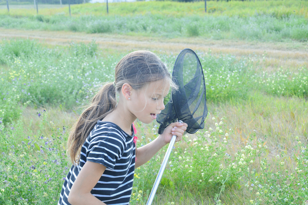 The Best Charlotte Mason Science Curriculum: Join us for our year-long nature study!