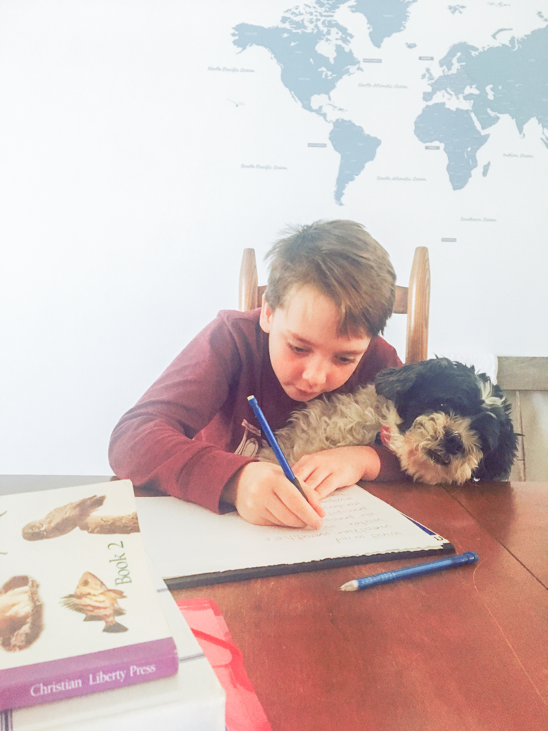 10 Things I learned after 17 years of homeschooling