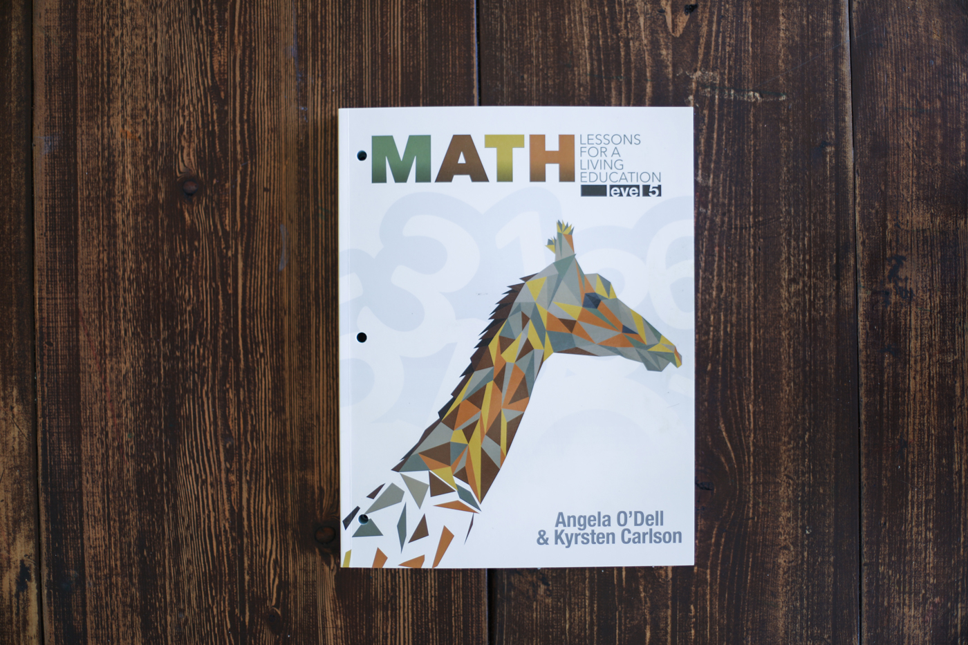 Confronto matematica Home School: Math Lessons for a Living Education