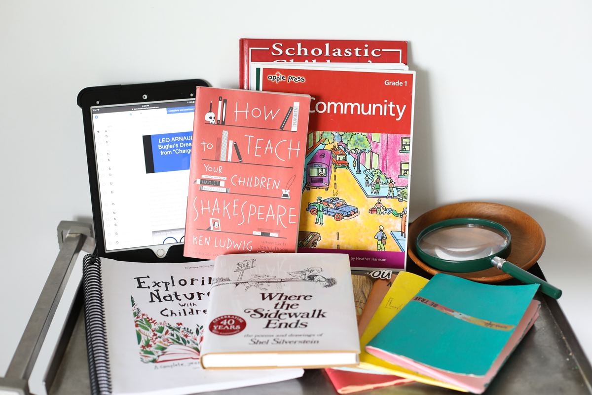 Homeschool Year in Review: What we are using for homeschool curriculum 2018-2019