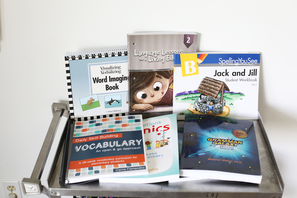 Homeschool Year in Review: What we are using for homeschool curriculum 2018-2019