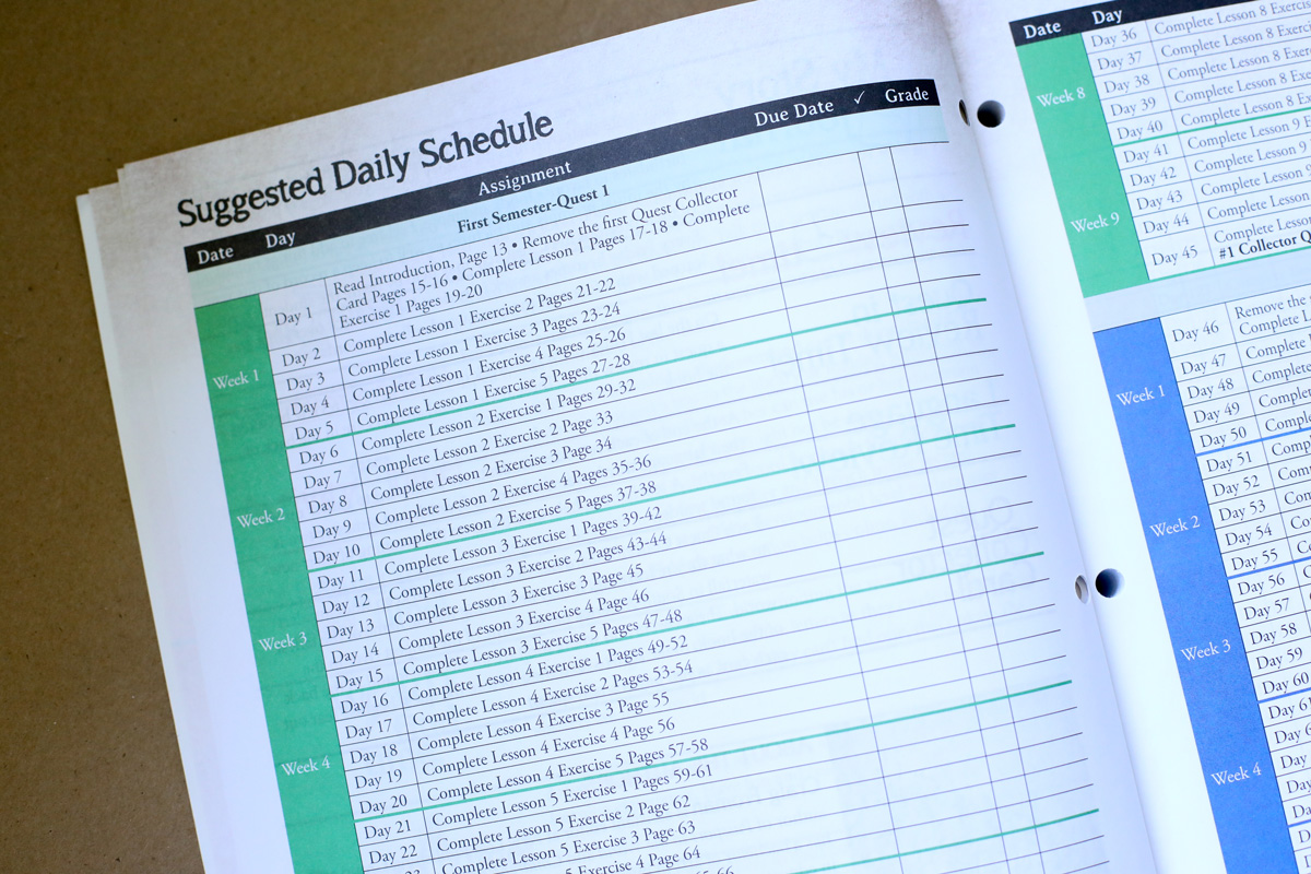 Elementary Social Studies Curriculum